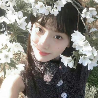 大唐女法医